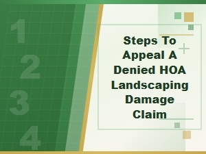 Steps to Appeal a Denied Hoa Landscaping Damage Claim