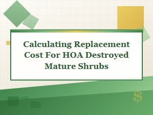 Calculating Costs for Mature Shrubs Destroyed by the Hoa